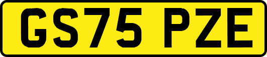 GS75PZE