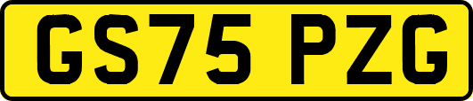GS75PZG