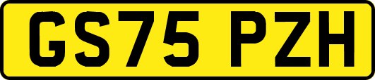 GS75PZH