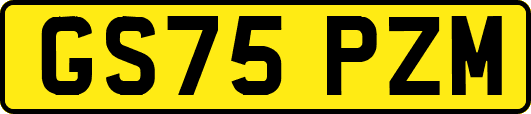 GS75PZM