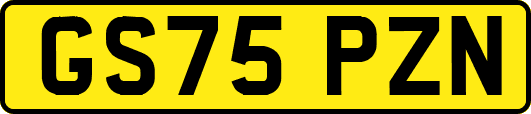 GS75PZN