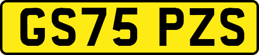 GS75PZS