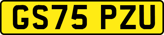 GS75PZU