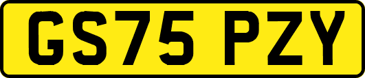 GS75PZY