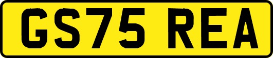 GS75REA