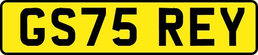 GS75REY
