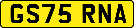 GS75RNA