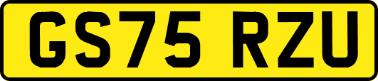 GS75RZU