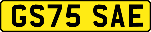 GS75SAE