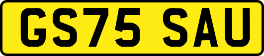 GS75SAU
