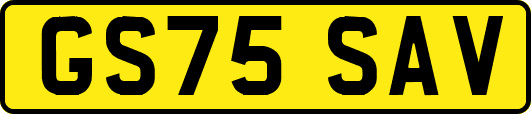 GS75SAV
