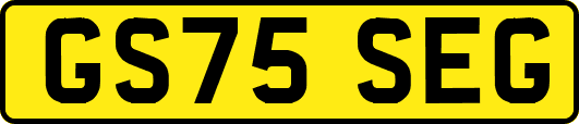 GS75SEG