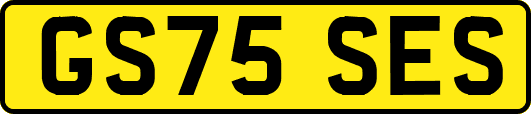 GS75SES