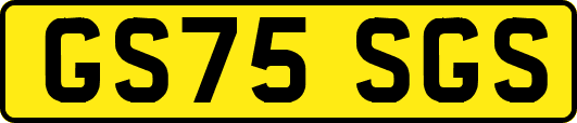GS75SGS