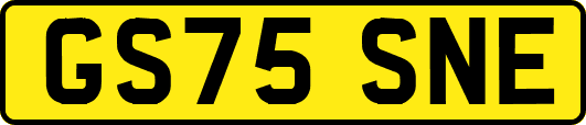 GS75SNE