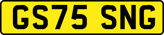 GS75SNG