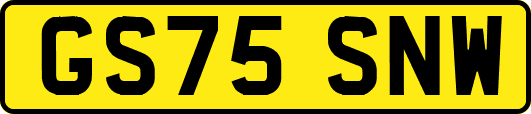 GS75SNW