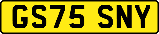 GS75SNY
