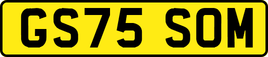 GS75SOM