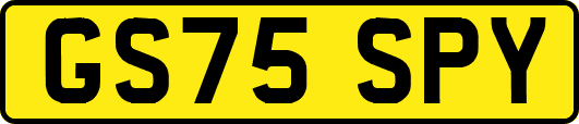 GS75SPY