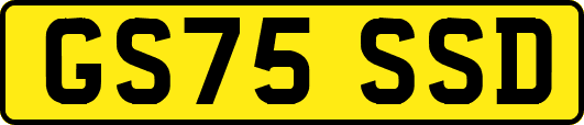 GS75SSD