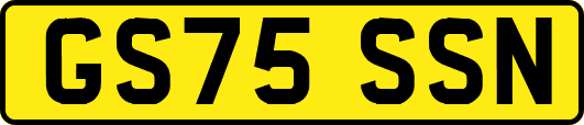 GS75SSN