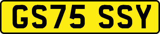 GS75SSY