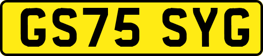 GS75SYG