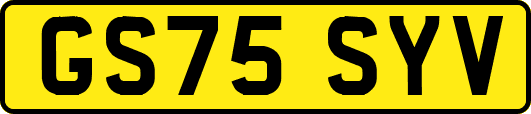 GS75SYV