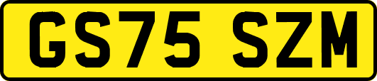 GS75SZM