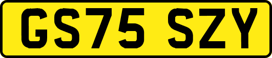 GS75SZY