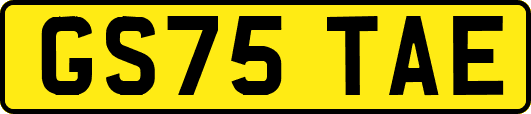 GS75TAE