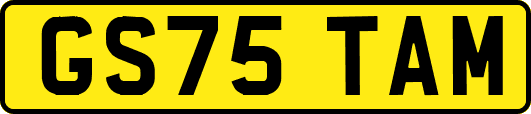 GS75TAM