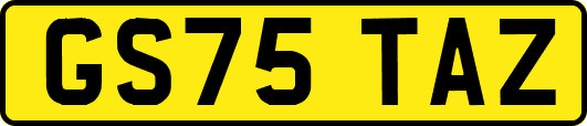 GS75TAZ