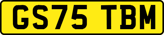 GS75TBM