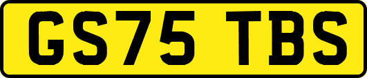 GS75TBS