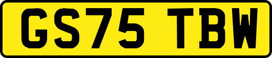 GS75TBW