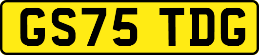 GS75TDG