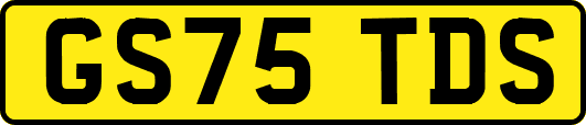 GS75TDS