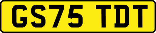 GS75TDT