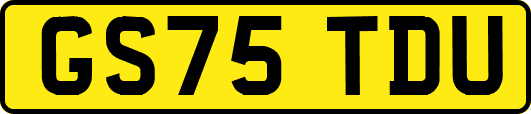 GS75TDU