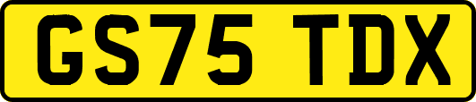 GS75TDX