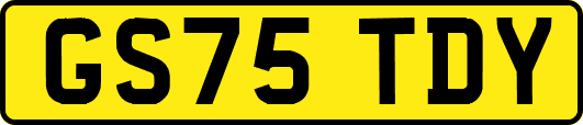 GS75TDY