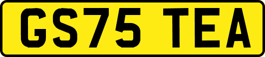 GS75TEA