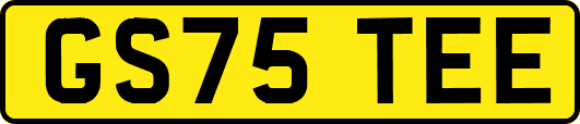 GS75TEE