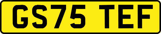 GS75TEF