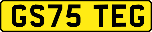 GS75TEG