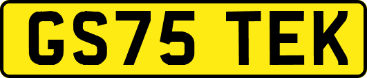 GS75TEK