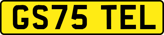 GS75TEL