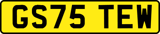 GS75TEW